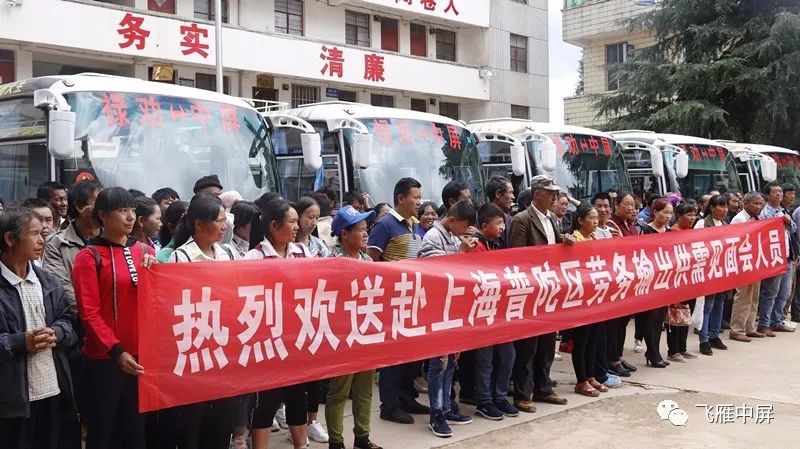 奉新冯田招聘信息揭秘，小巷独特小店职位空缺等你来探索！