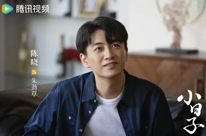 陈晓最新电视剧魅力深度解析及其影响力探讨