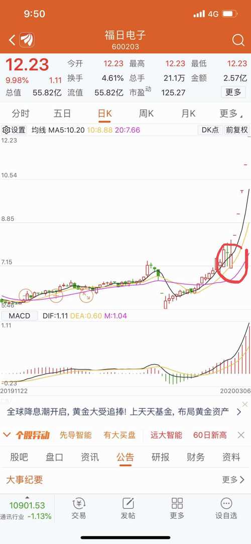 非公开发行股票详解，定义、背景及其在特定时代中的地位与影响分析