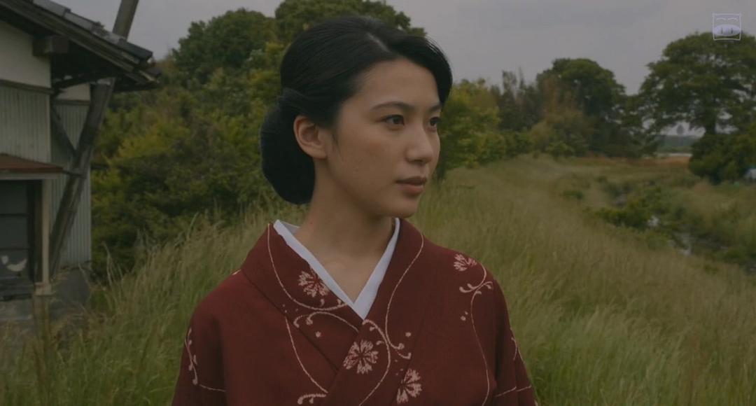 花芯电影，探索电影之美的三大核心要素