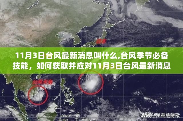最新台风动态，全面关注与应对准备措施
