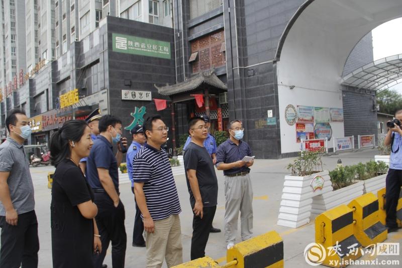 电影我的姐姐在线观看，自然美景之旅，探寻内心平和与喜悦的旅程