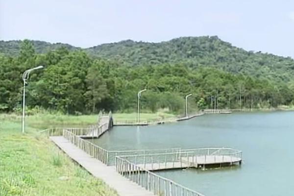 探秘吊罗山国家森林公园，门票价格与隐秘小巷的奇妙之旅