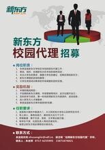 北仑兼职招聘信息详解，最新岗位与求职观点阐述