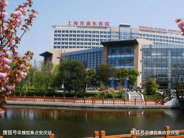 庇护所最新版深度解析与观点阐述全攻略