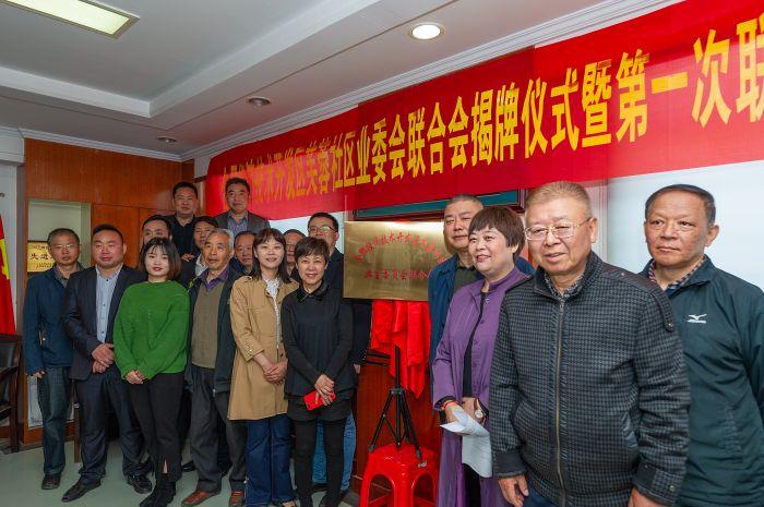 最新公司章程，构建企业治理新蓝图的新篇章