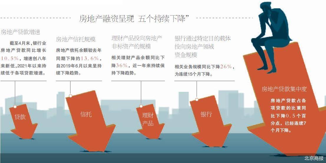 商业贷款最新政策解析，自然美景背后的金融探索之旅