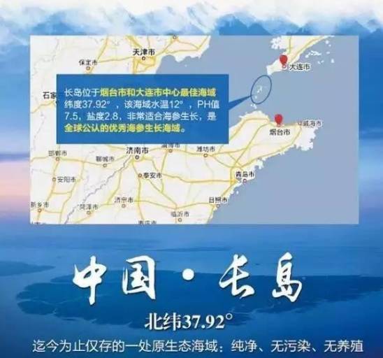 色情内容警告，警惕网络陷阱，远离不良内容——健康上网，励志成长