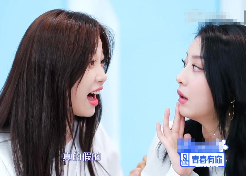嘟嘟最新版，友情的温馨日常日常记录