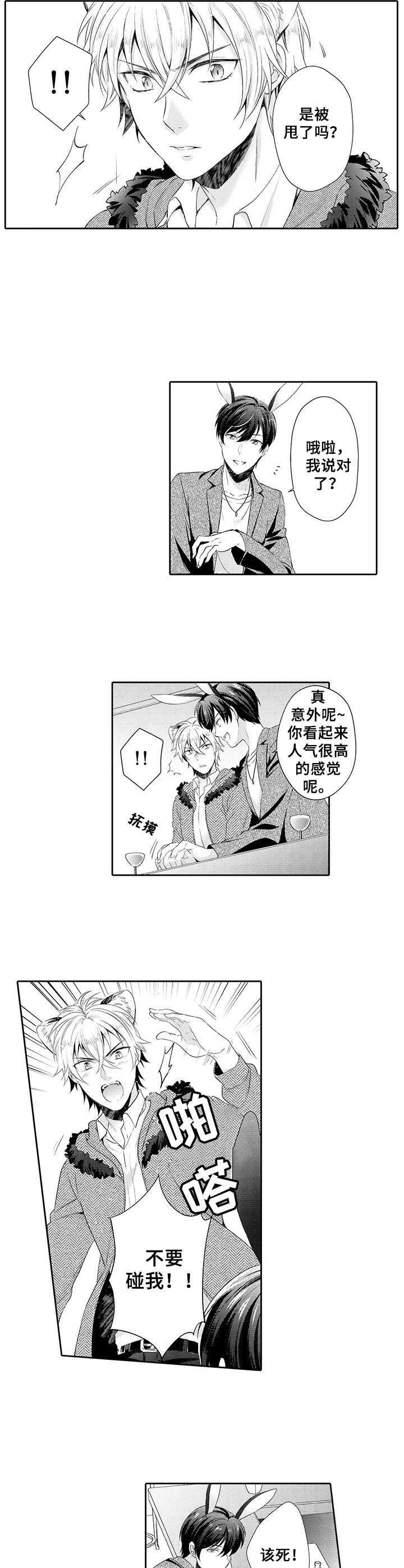 最新肉漫,最新肉漫，一种文化现象的深度探讨