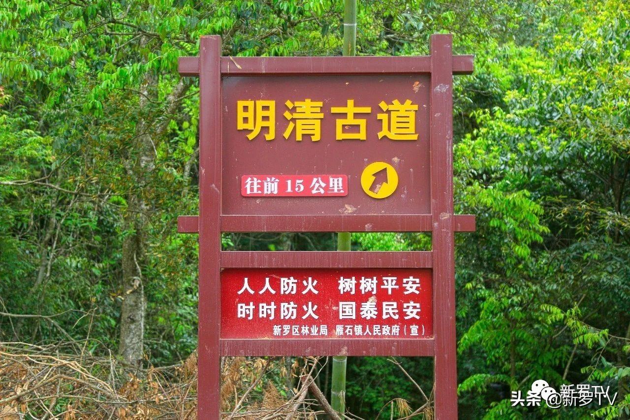 最新上传在线视频，探索自然美景之旅，寻找内心平和之地