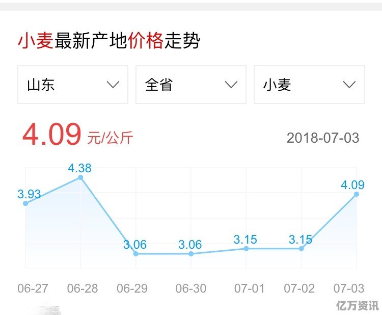 最新小麦行情深度解析与预测报告
