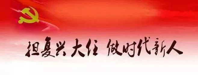立式防爆振动电机 第156页