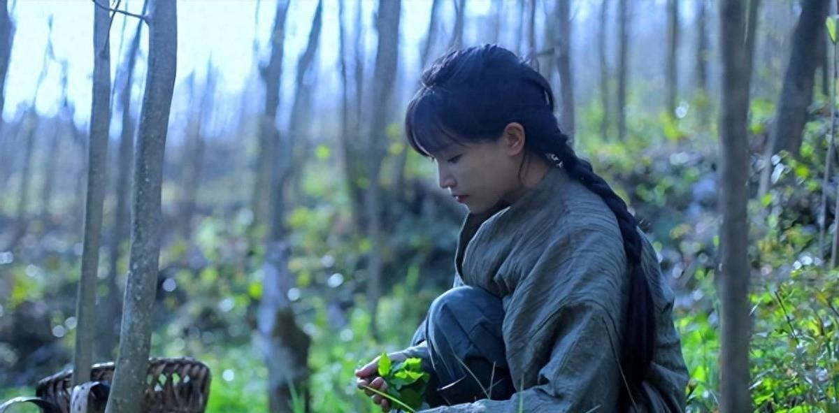 探索自然美景之旅，最新网名带你寻找内心平和的旅程