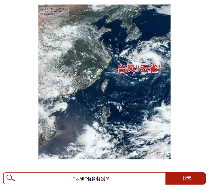 云雀台风最新动态，夏日温馨记忆与实时资讯回顾