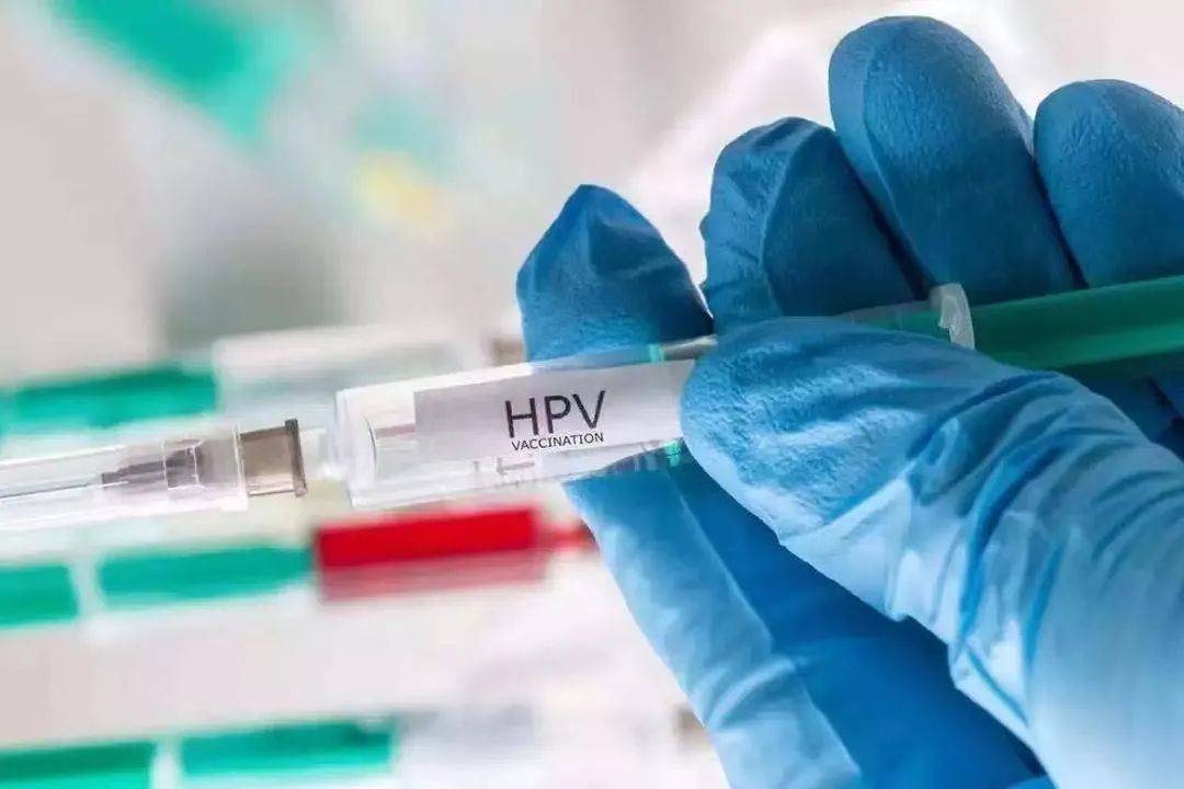 新型冠状病毒疫苗最新动态，铸就希望的盾牌，保护生命之战