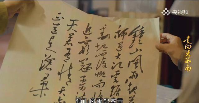 最新谍战片电视剧概览，自信与成就感的交织展现