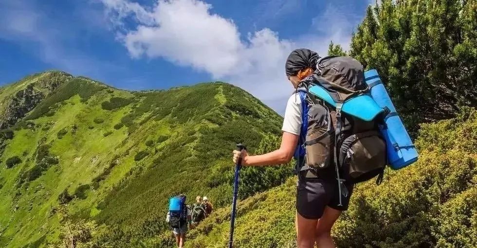 朴成与自然美景的邂逅，内心平和之旅