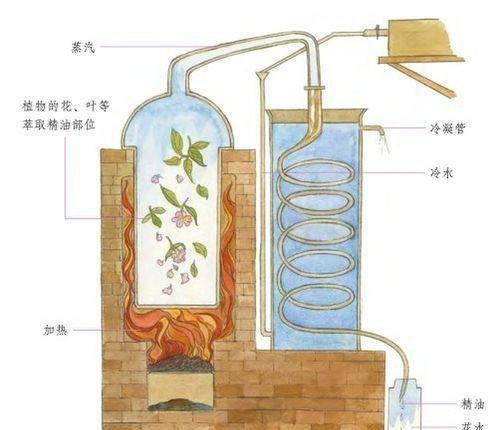 草馏最新现象的多维解读