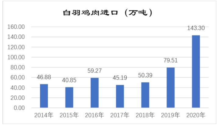 白羽鸡价格最新价格,白羽鸡价格最新动态，时代的变迁与市场的波动