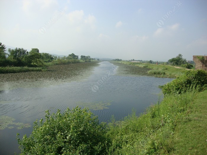 张湾水库最新动态，夏日水库边的惊喜奇遇
