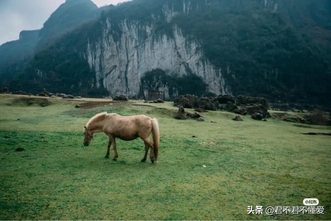 24小时失效最新地址,​标题，24小时失效最新地址——小红书上的探索之旅