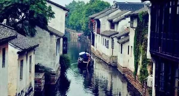 苏教版最新，小巷中的隐藏瑰宝探索之旅