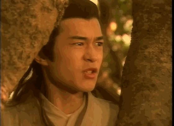 最新神雕侠侣，温馨日常趣事回顾