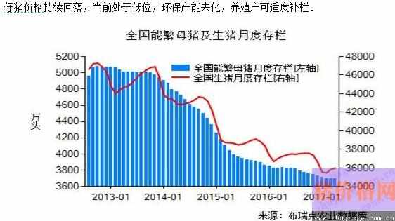 今天肥猪最新价格,今天肥猪最新价格，市场走势分析与预测