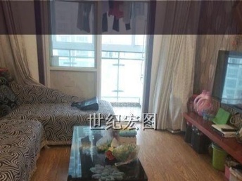 合阳最新租房信息，追梦人的理想居所与成长舞台