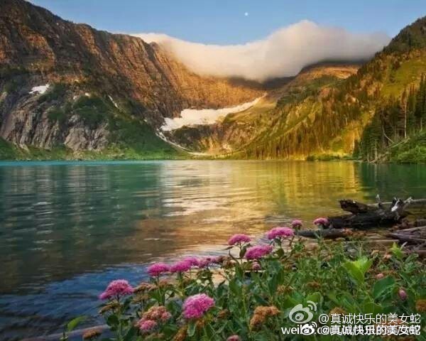 探索自然美景，寻找内心平和之地的成人旅行新体验