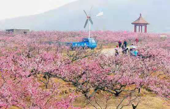 泗水最新新闻，拥抱自然，探寻内心桃花源