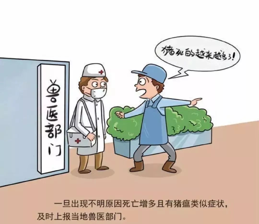 电机 第80页