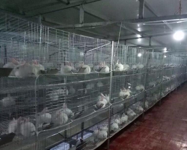 立式防爆振动电机 第76页