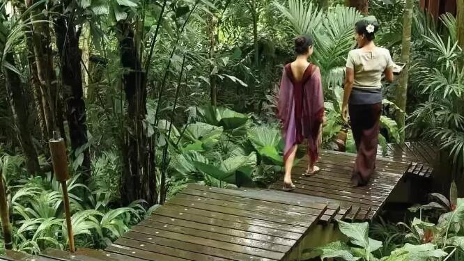 探索自然美景的治愈之旅，性吧最新，寻找内心平和之地