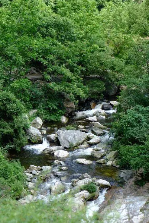 探索绿色生活的无限魅力，叶爱最新动态报道