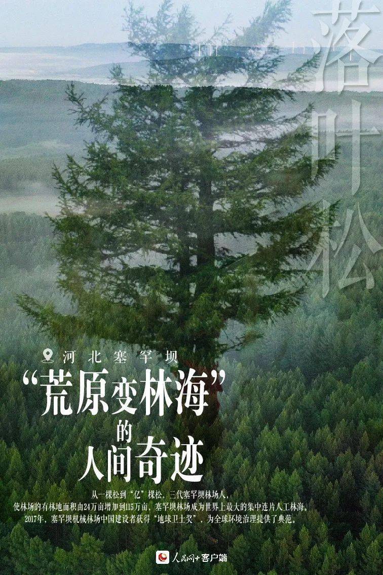 探寻绿色奇迹背后的故事，治沙造林纪录片最新版回顾绿色征程