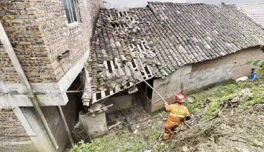 立式防爆振动电机 第36页