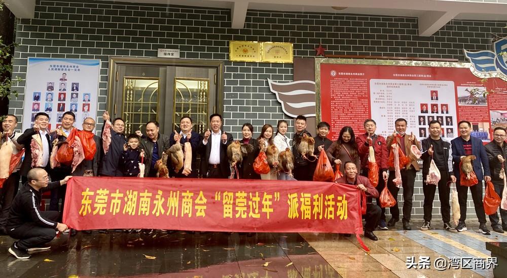 东莞交警查车最新动态，背后的温情故事揭秘