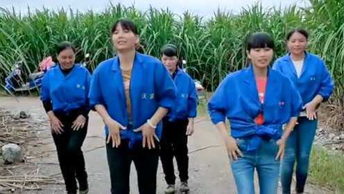 田野里的舞蹈狂欢，最新农村妇女跳舞视频，展现乡村欢乐纽带