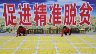 肥乡县会谱大全最新详细步骤指南及介绍
