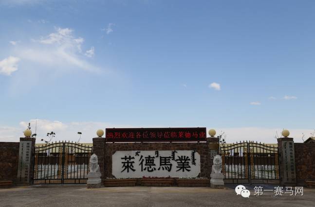 莱德马业引领马业前沿发展动态的最新消息