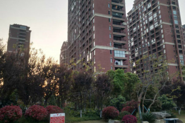 大树英格澜最新动态，友谊的温馨日常