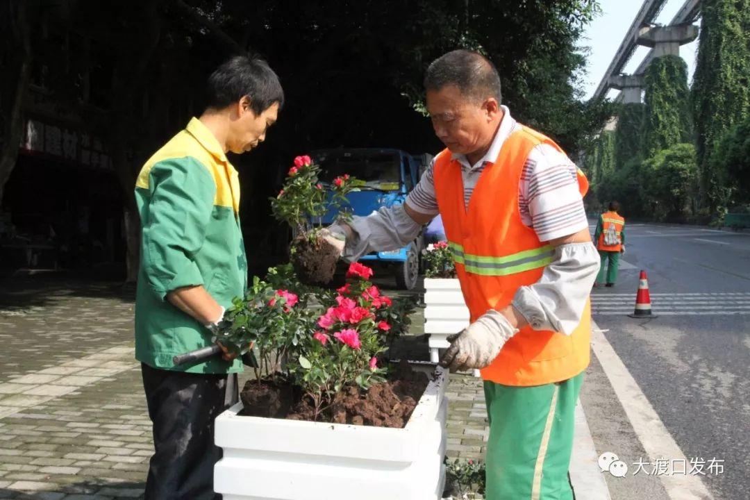 大渡口绿地城最新动态解析与观点阐述