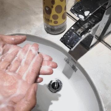 小手牵小狗最新一期，萌宠与孩子们的温馨时光之旅