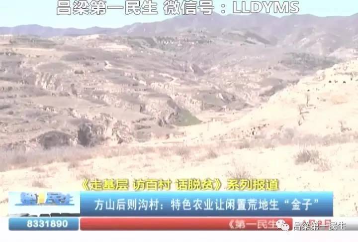 立式防爆振动电机 第13页