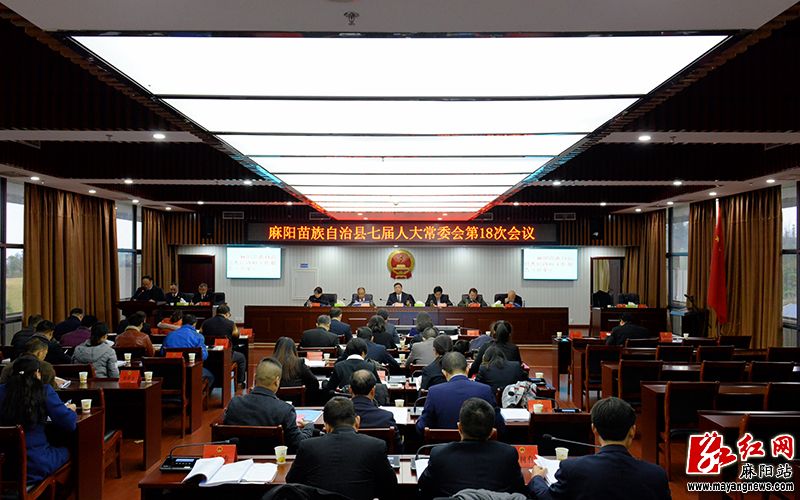 麻阳政府网站最新消息及其观点论述摘要