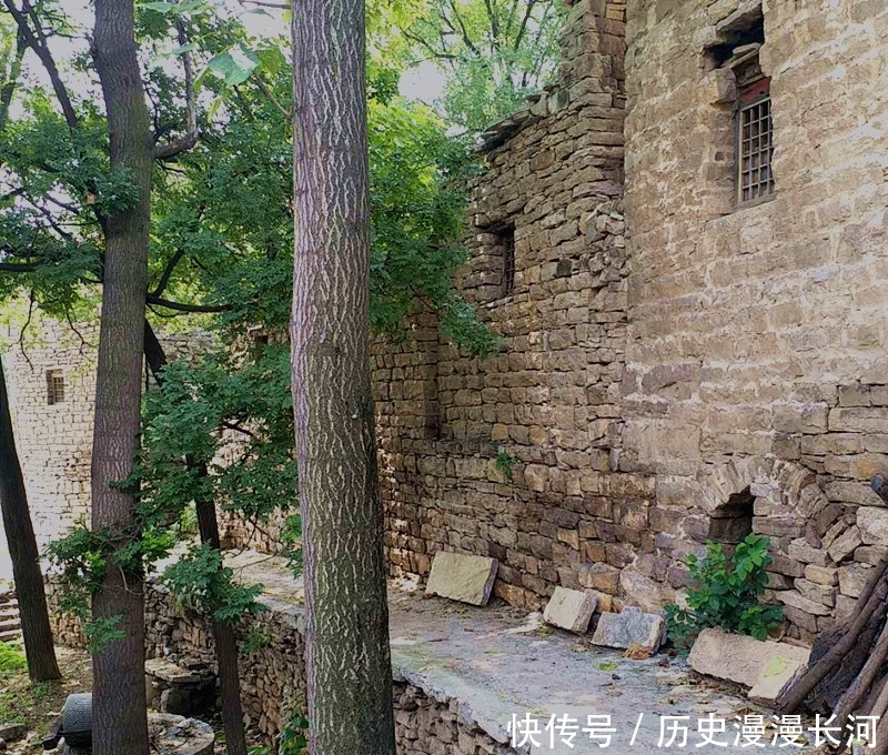 董家洋村最新动态揭秘，惊喜与小巷独特风情的邂逅