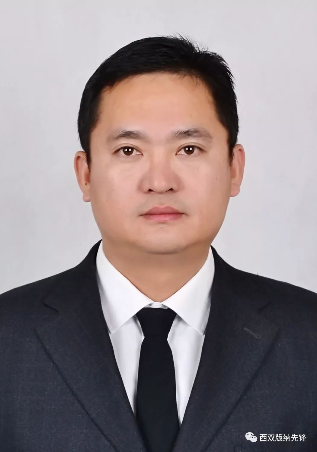 官渡区杨志华最新任命详解，步骤指南及角色概览