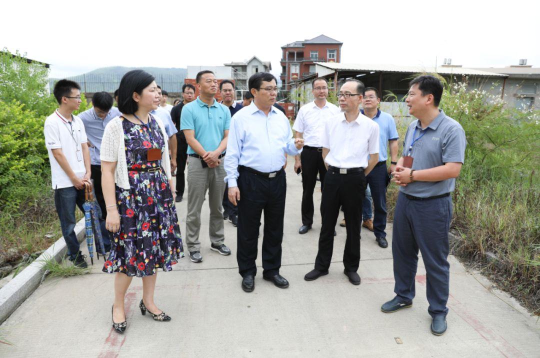 福清市常务副市长最新动态，新任常务副市长上任报道